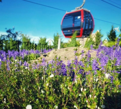 Danang tour packages 5 days: Danang - Hue - Hoian tour