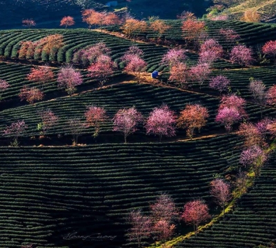 TOUR  SAPA 2 DAY 1 NIGHT HOMESTAY 