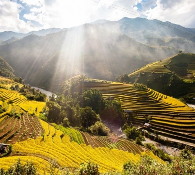 Tour Mù Căng Chải 2 ngày 1 đêm khởi hành hàng tuần